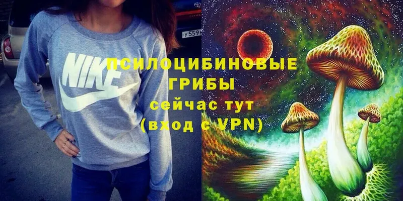 Галлюциногенные грибы Psilocybine cubensis  Алдан 